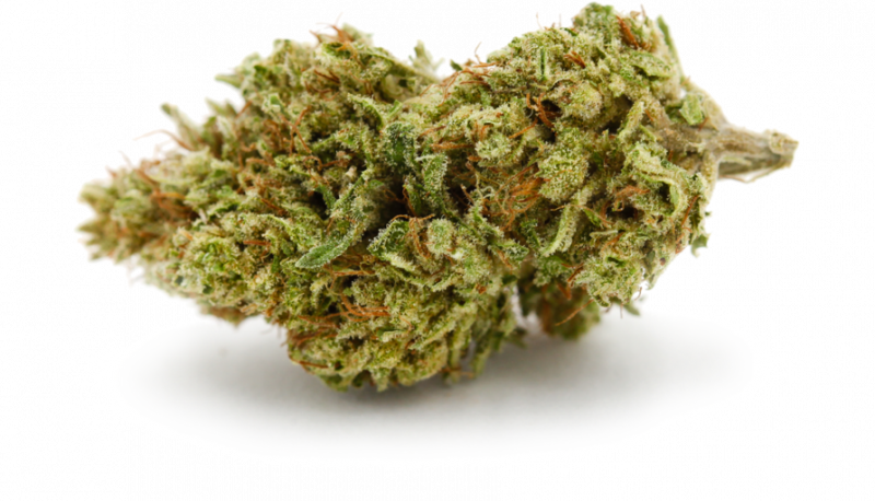 Cannabigerol-Buds